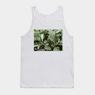 Nature V Tank Top